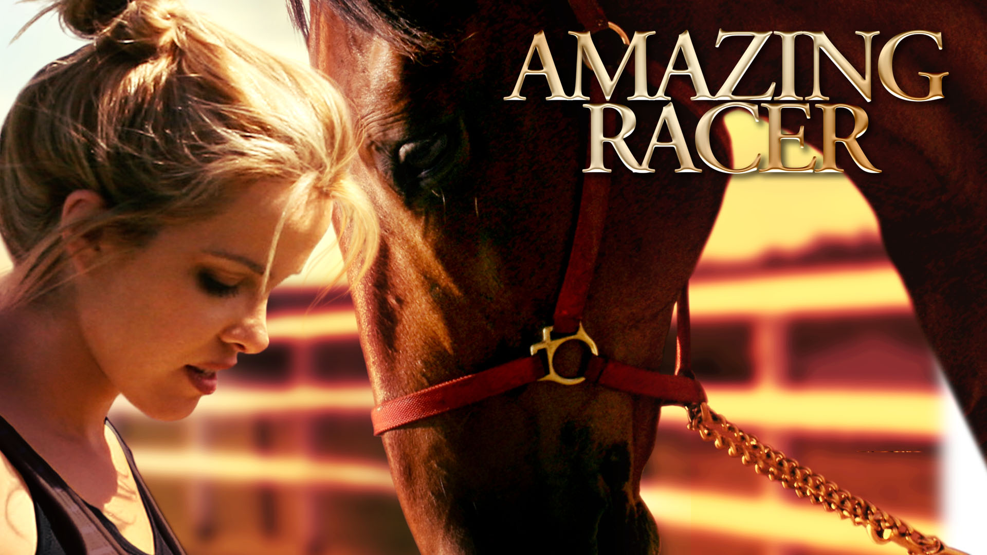 Amazing Racer